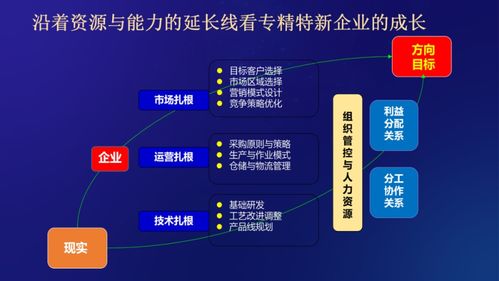 徐朝華 中小企業怎么破解融資難 融資貴 融資慢的問題